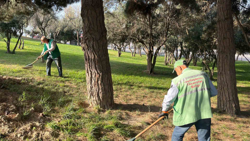 Xətai rayonunda növbəti iməcilik keçirilir