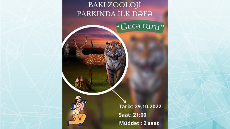 Zooparkda bir gecə