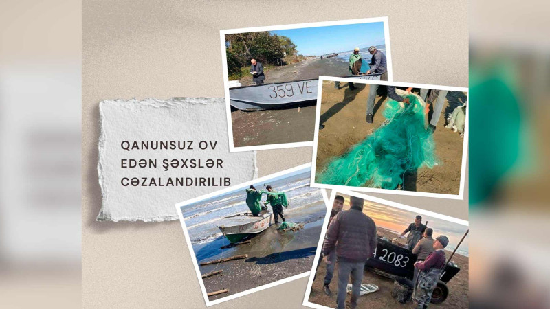 Xəzər dənizi sahillərində qanunsuz ov edən şəxslər tutulublar