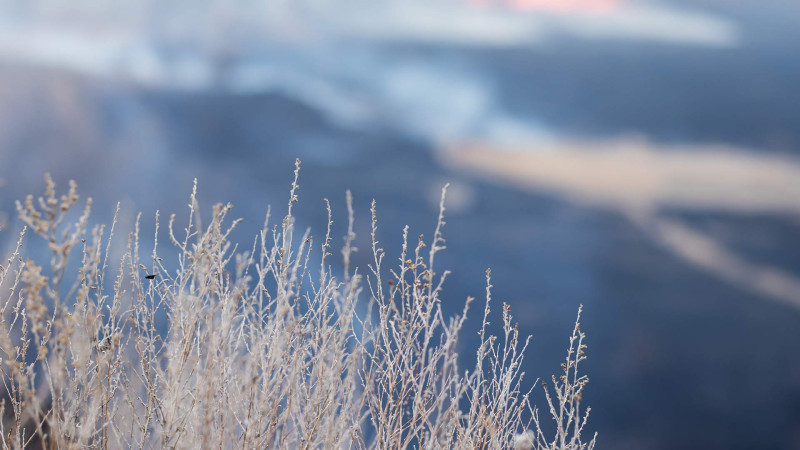Xəzər rayonunda qamışlıq ərazi yanıb