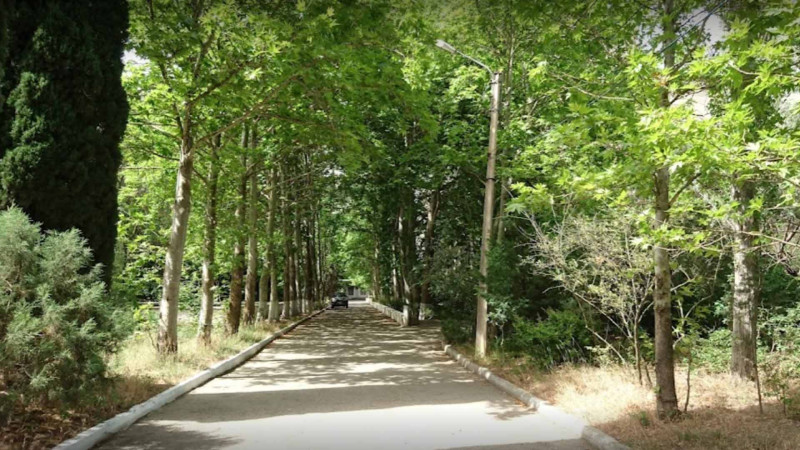 Nəbatat Bağının təmirinə 58 milyon ayrılıb