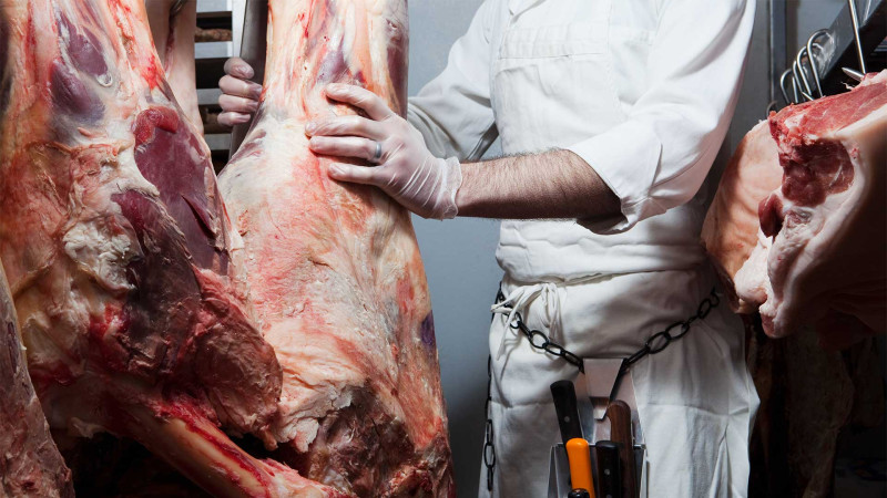 Bakıda 4 heyvan kəsimi məntəqəsində qanun pozuntuları aşkarlanıb