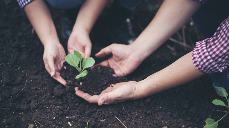 Nərimanov rayonunda növbəti məhəllə abadlaşdırılıb