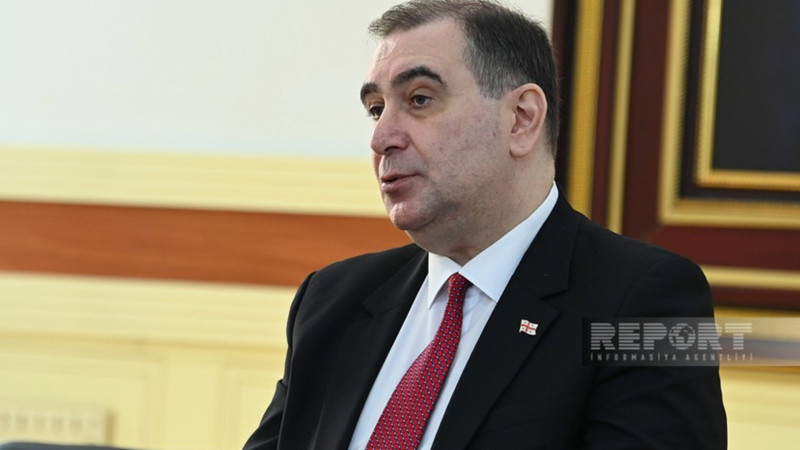 Gürcüstanın təhsil naziri BDU-da qonaq olub