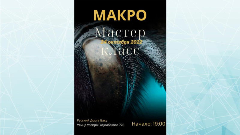Bakıda makroçəkiliş üzrə master-klas keçiriləcək