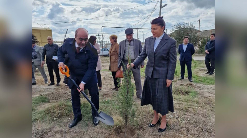 Zığ qəsəbəsində yeni ağaclar əkilib