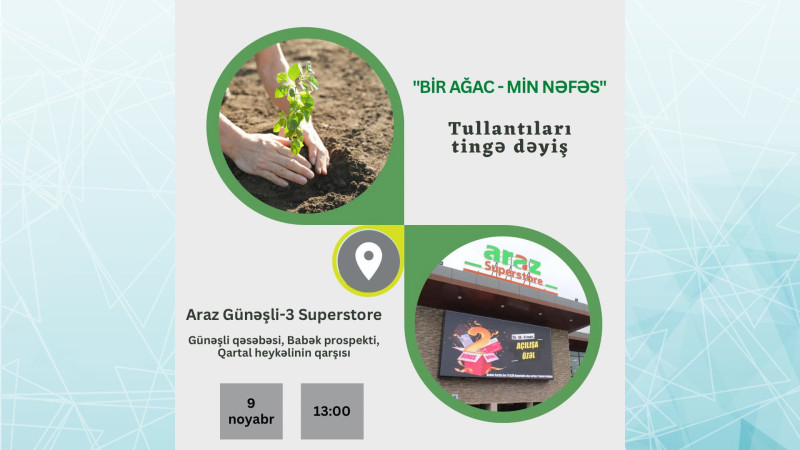 Bakıda ting paylama aksiyası davam edir