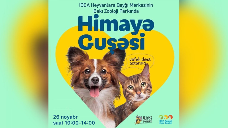 Bakı Zooloji Parkında ev heyvanlarını himayəyə götürmək mümkün olacaq