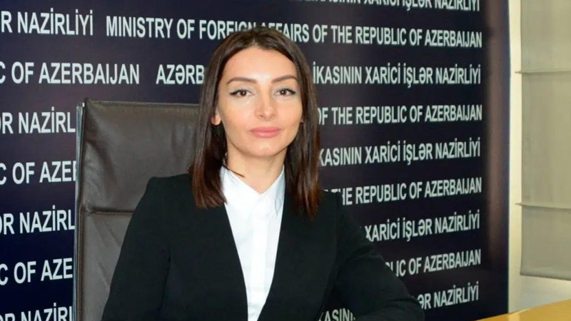 Leyla Abdullayeva: Fransa Senatının qətnaməsi normallaşma prosesinə xidmət etmir
