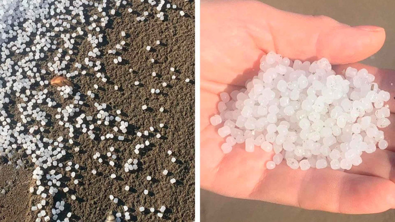 Xəzər dənizi sahillərində çoxlu plastik hissəciklər aşkarlanıb: YENİLƏNİB