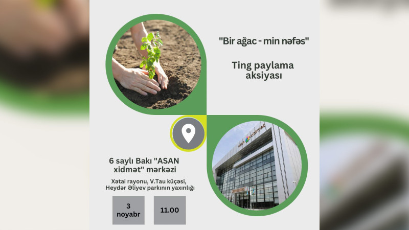 Xətai rayonunda ting paylama aksiyası keçiriləcək