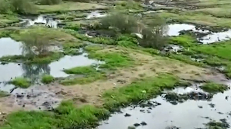Zabrat qəsəbəsində çirkab su ağaclıq əraziyə tökülür