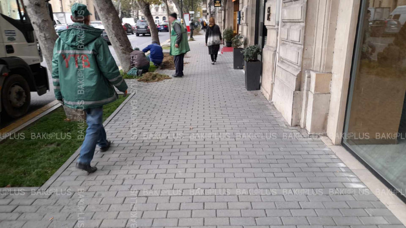 Bakının mərkəzində abadlıq işləri aparılır