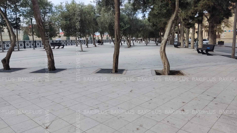 Buzovna qəsəbəsində 600 m uzunluğu olan parkda zibil yeşikləri yoxdur