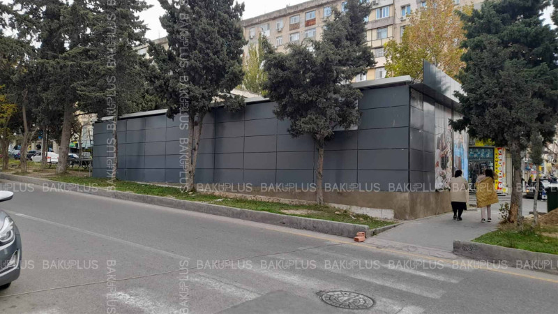 Əhmədlidə ağaclar kəsilərək yerində obyekt tikilir