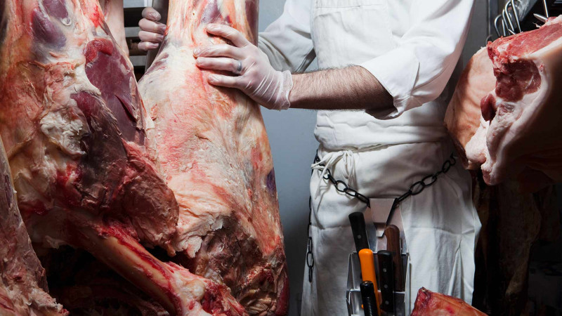 Bakıda daha 6 heyvan kəsimi məntəqəsində nöqsanlar aşkarlanıb