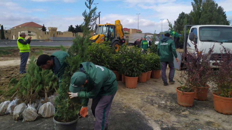 Xəzər rayonunda təmizlik aparılıb
