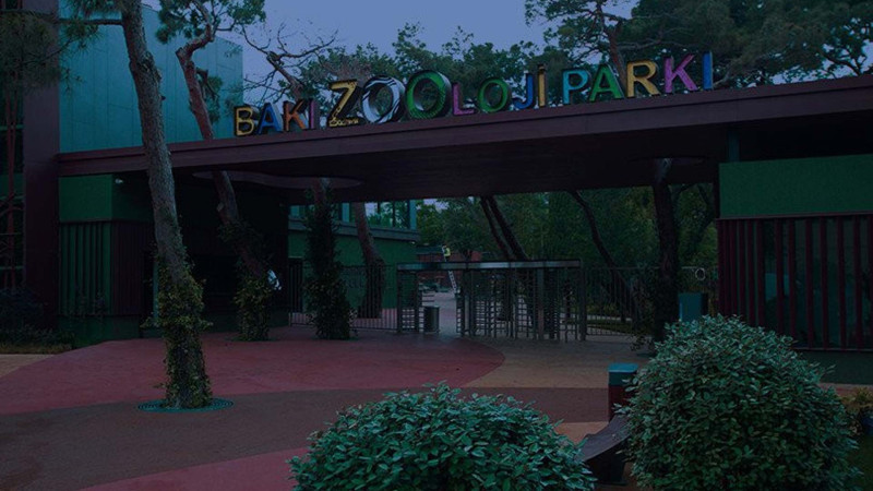 Bakı Zooloji Parkında “Gecə turu” təşkil olunacaq