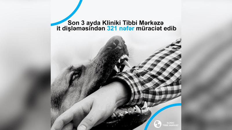 Bakıda it dişləmə ilə bağlı müraciət edənlərin sayı açıqlanıb