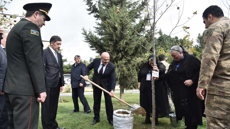 Nəsimi rayonunda Zəfər Günü münasibətilə ağacəkmə aksiyası keçirilib