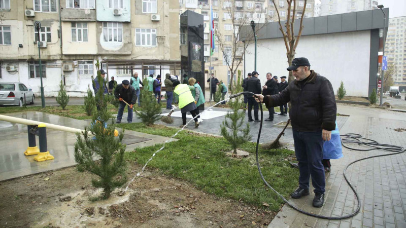 Xətai rayonunda ağacəkmə aksiyası keçirilib