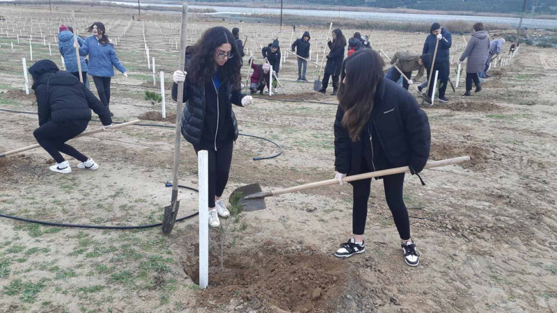 Məktəblilər və skautlar ağacəkmə aksiyasında iştirak ediblər