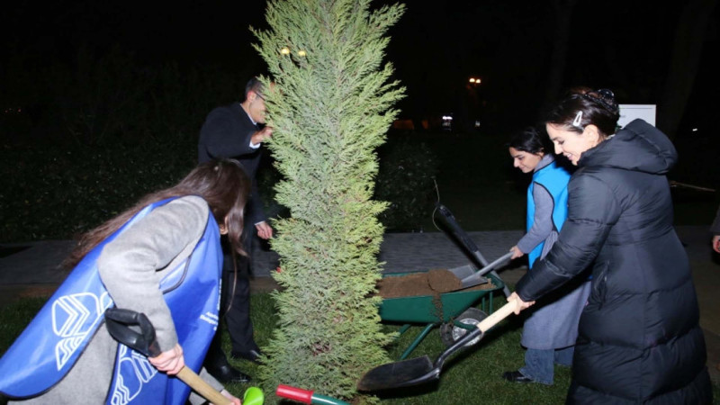 Atatürk parkında hər bir ağacın öz QR kodu olacaq