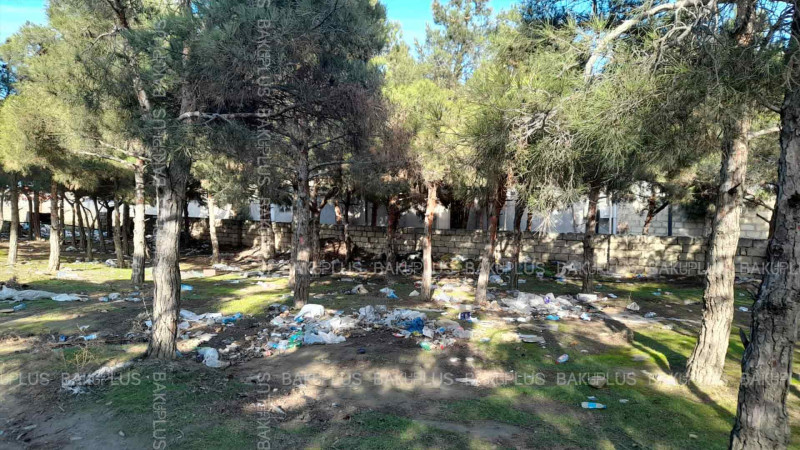 Xırdalanda meşəlik və həyətlər zibil poliqonuna çevrilib