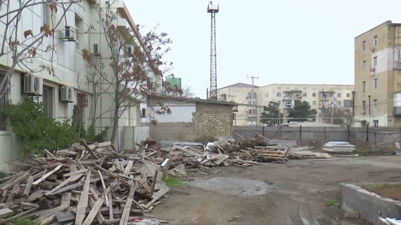 Lökbatanda qanunsuz kəsilən ağaclardan icra başçısının “xəbəri olmayıb”