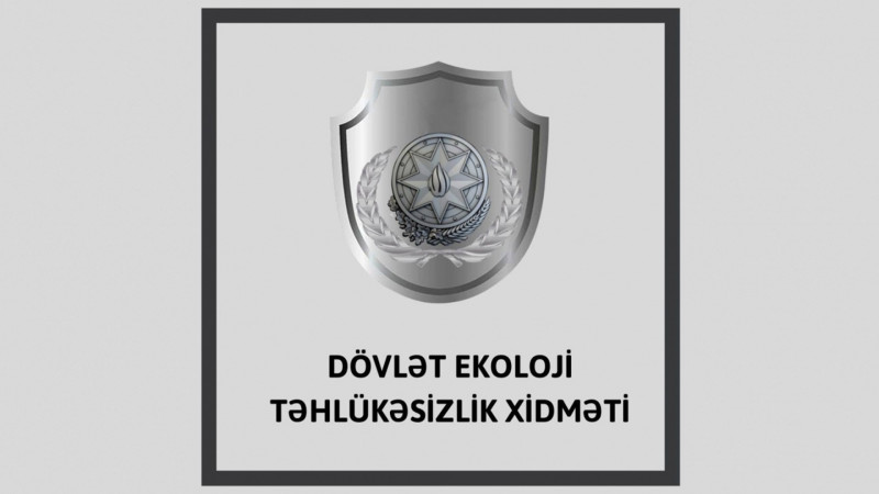 Xətai: Gəncə prospektində 15 ədəd şam ağacı qanunsuz kəsilib