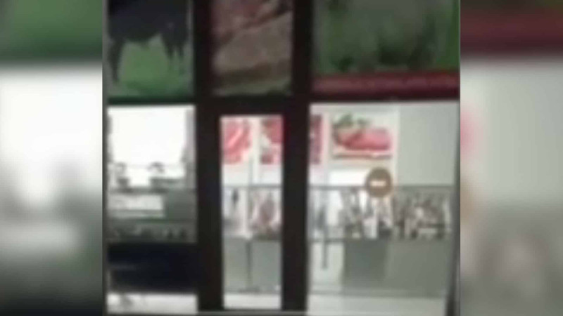 Bakıda ət mağazası siçovullarla doludur