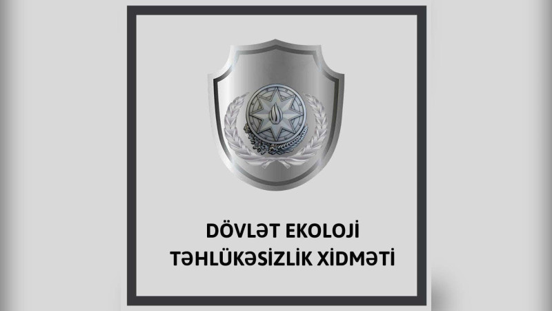 Ekologiya Nazirliyi ağacların kəsilməsi barədə daxil olan şikəyəti araşdırıb
