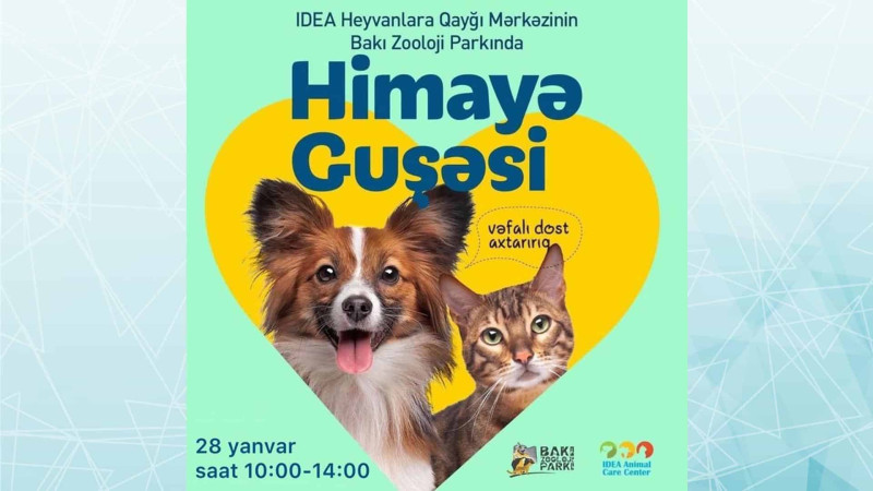 Bakı Zoolojı Parkı: dördayaqlı dosta sahib olmaq istəyənlərin nəzərinə