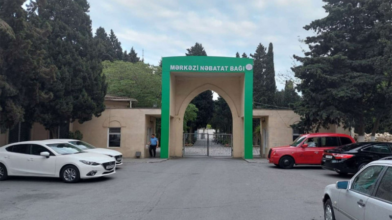 Nəbatat Bağı barəsində yayılan şəkillər təqdim olunan layihələrdən biridir