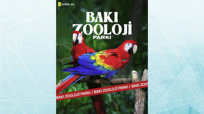 Bakıda daha bir xüsusi tur təşkil olunacaq
