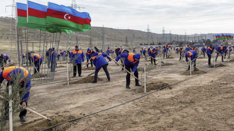 Xocəsəndə ağacəkmə aksiyası keçirilib