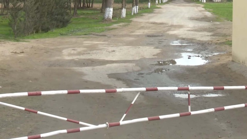 Bakıda ağacları qorumaq üçün maşın yolu bağlanıb