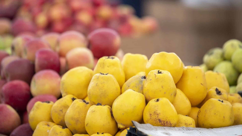“Kənddən Şəhərə” yarmarkası bu həftə də baş tutacaq