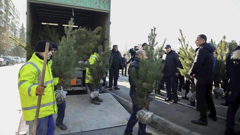 Xətai rayonunda min ağac əkilib