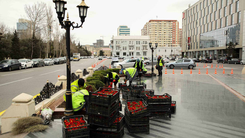 “Ana harayı” abidəsinin yaxınlığında abadlıq işləri aparılır