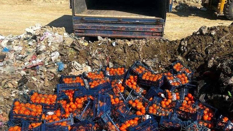 İrandan Azərbaycana gətirilən məhsullarda virus tapılıb