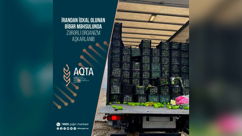 İrandan gətirilən 13 ton bibər məhv olunub