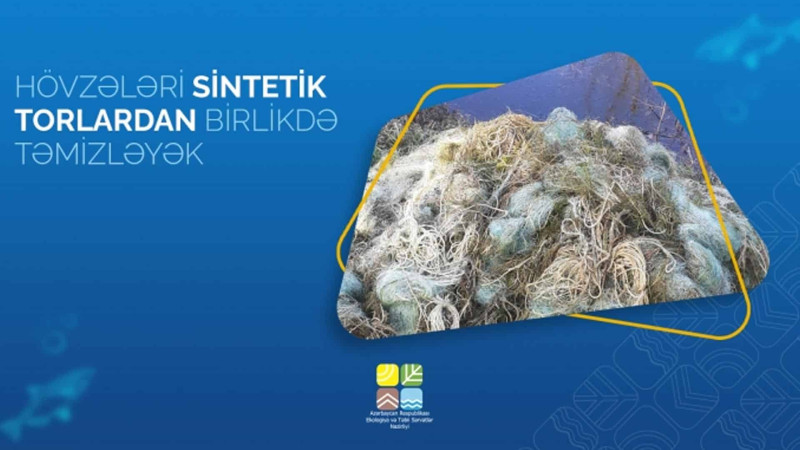 Qanunsuz balıq ovlayan Bakı sakinləri cəzalandırılıblar