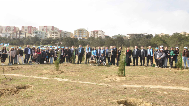Bakıxanov qəsəbəsində 100 ədəd ağac əkilib