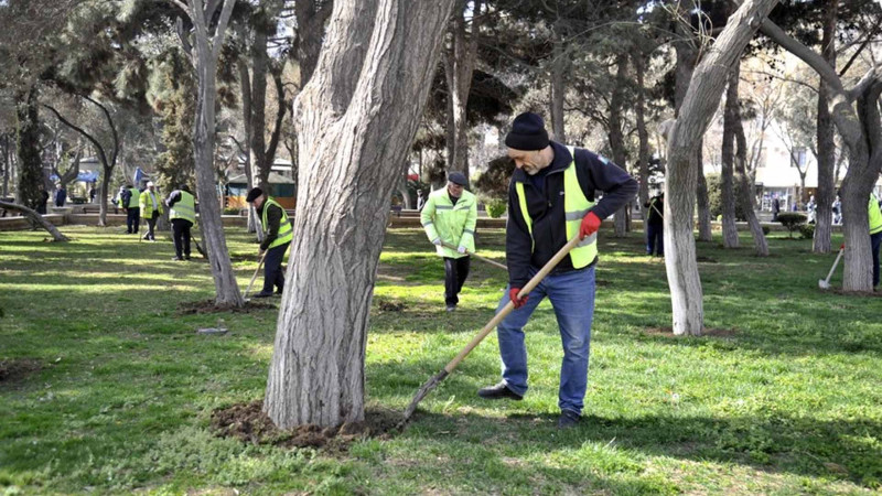“Novruz bayramını təmiz şəhərlə qarşılayaq”: Bakıda iməcilik keçirilir
