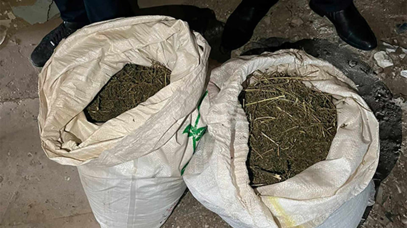 Bakı sakinindən 20 kiloqram marixuana tapılıb