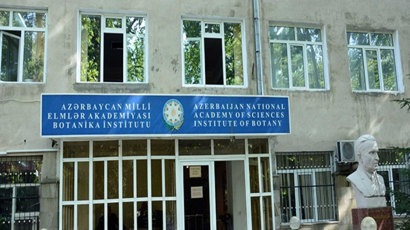 Bakıda nadir nümunələrin olduğu institut köçürülür