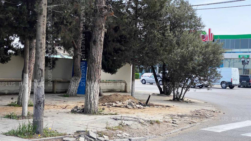 Albalılıqda elektrik xətləri dəyişdirilir