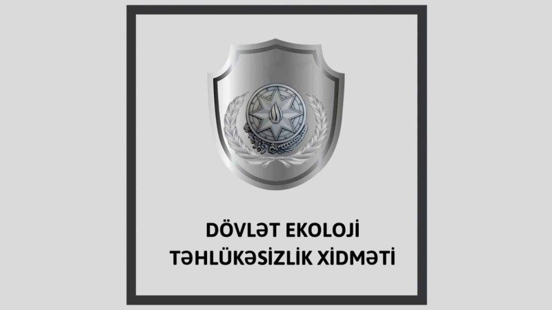 Bakıda qanunsuz ağac kəsimləri aşkar edilib