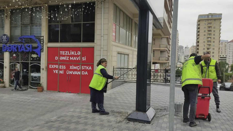 Nəsimi rayonunda ənənəvi iməcilik keçirildi